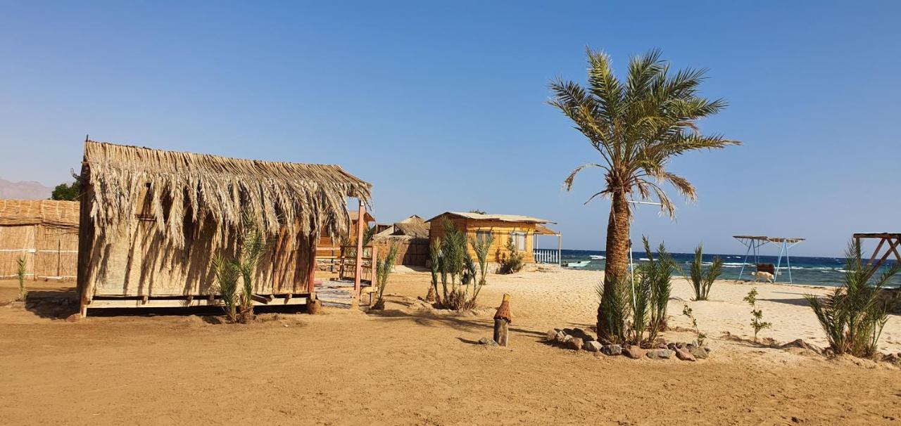 Diana Beach Camp Hotel Nuweiba` Екстериор снимка